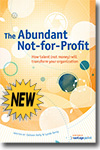 The Abundant Not-for-Profit